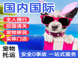 襄阳刘集机场托运国际宠物托运 【国